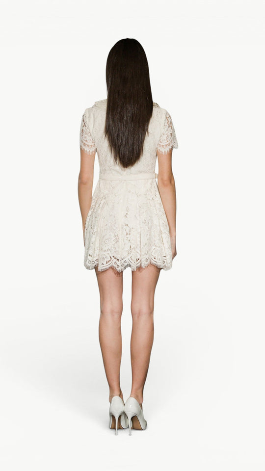 A-line Lace Mini Dress